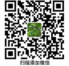 硝酸銀回收,金渣回收,廢鈀碳回收,擦銀布回收,金膏回收